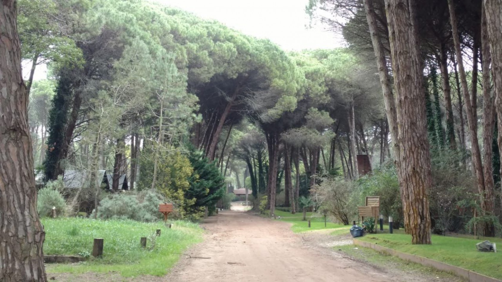 EXCELENTE LOTE EN ESQUINA EN EL CORAZON DE CARILO. LOTE EN VENTA.