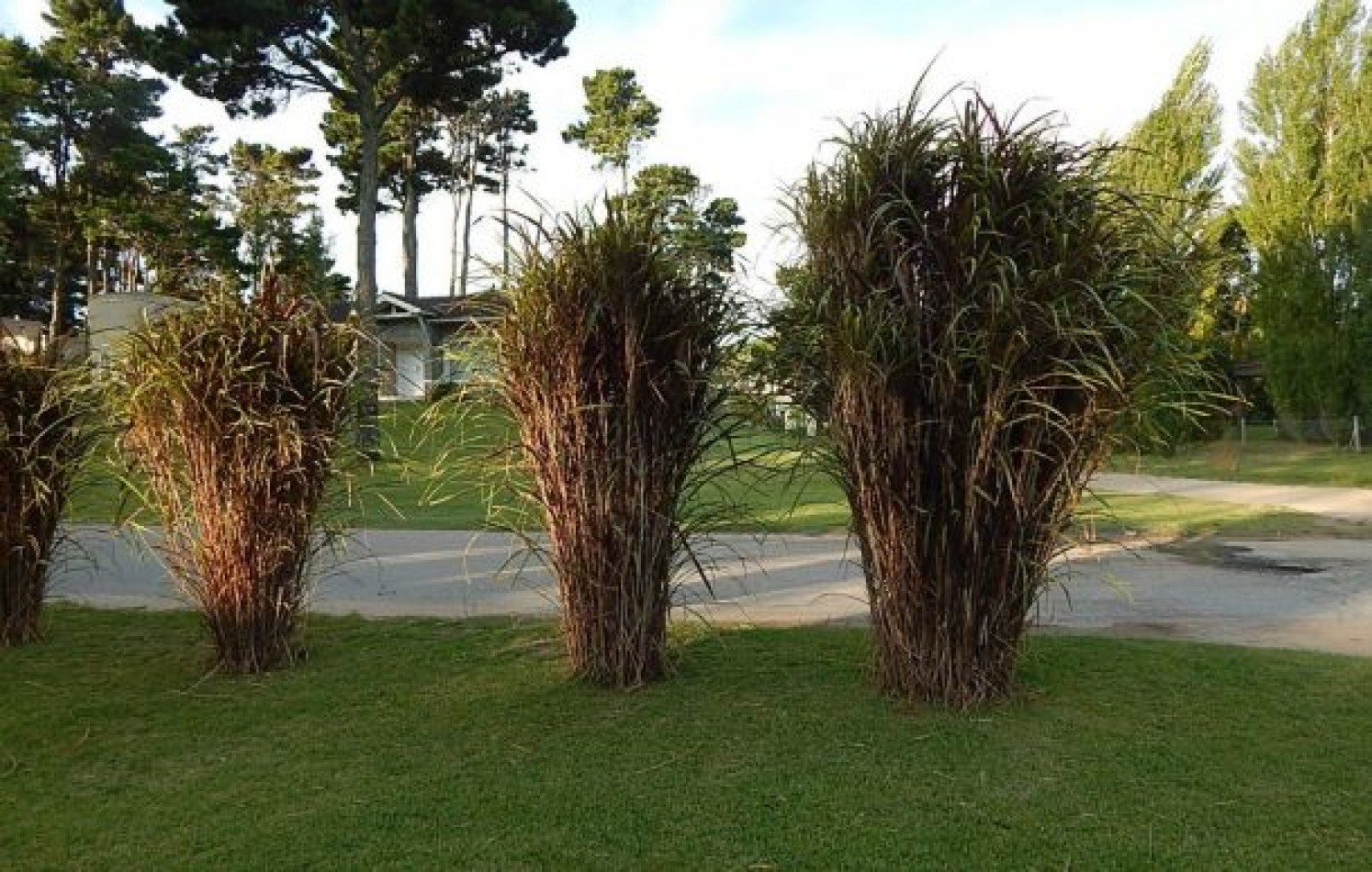 CASA AVENIDA DE LAS TRES CARABELAS Y DE LA DERIVA. CASA EN VENTA. 10 AMB., 4 DORM., 4 BANOS