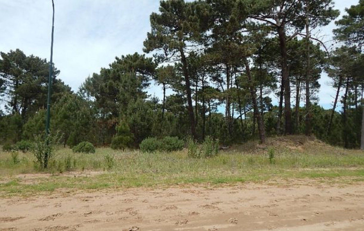 EXCELENTE LOTE EN ALAMOS II (LOTE 5 - MANZANA 239) SOBRE CALLE DE LA CALANDRIA