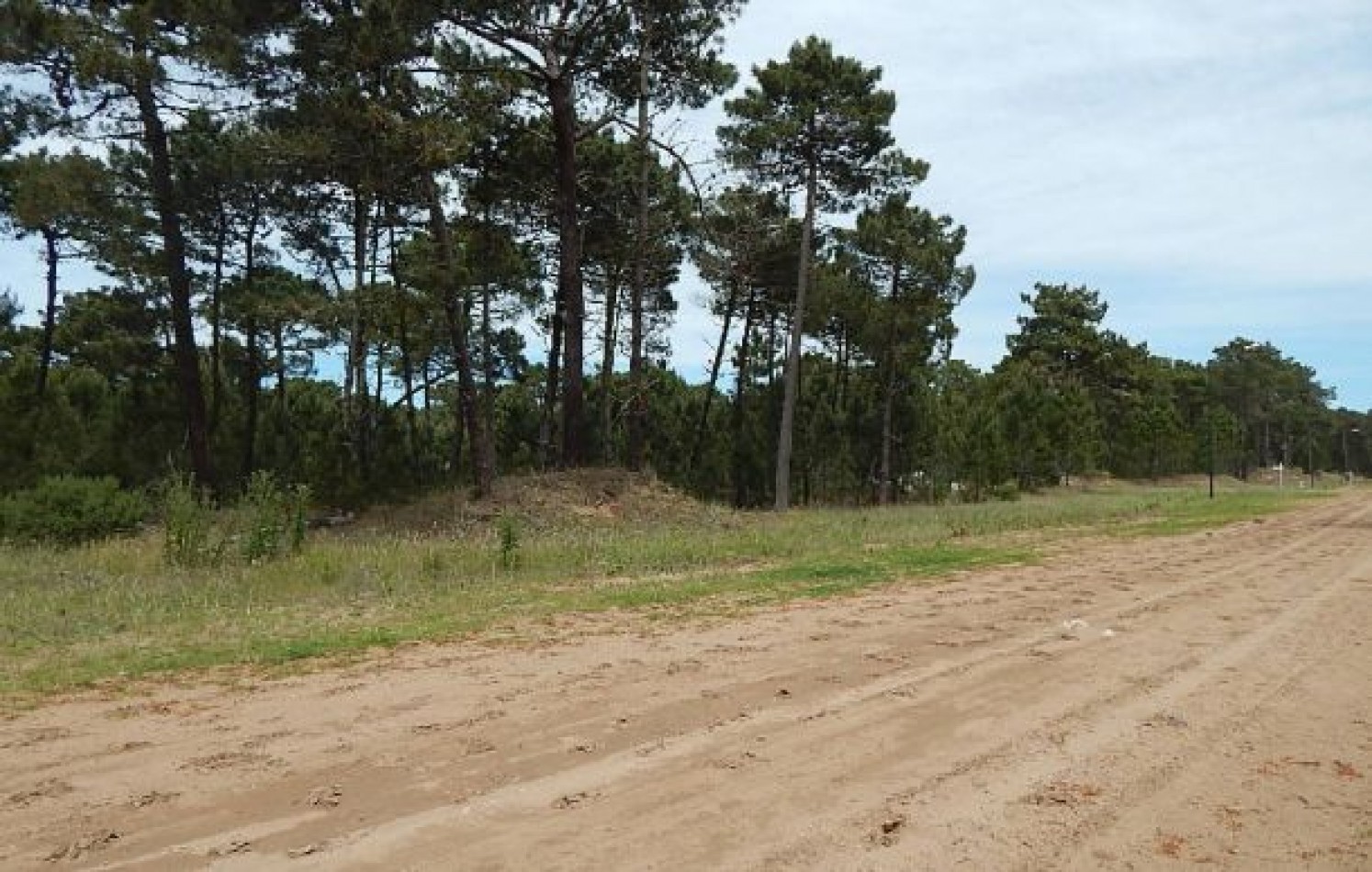 EXCELENTE LOTE EN ALAMOS II (LOTE 5 - MANZANA 239) SOBRE CALLE DE LA CALANDRIA