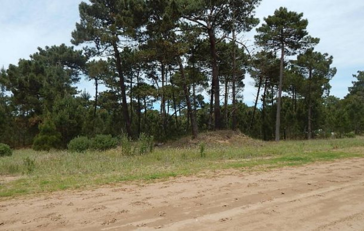 EXCELENTE LOTE EN ALAMOS II (LOTE 5 - MANZANA 239) SOBRE CALLE DE LA CALANDRIA