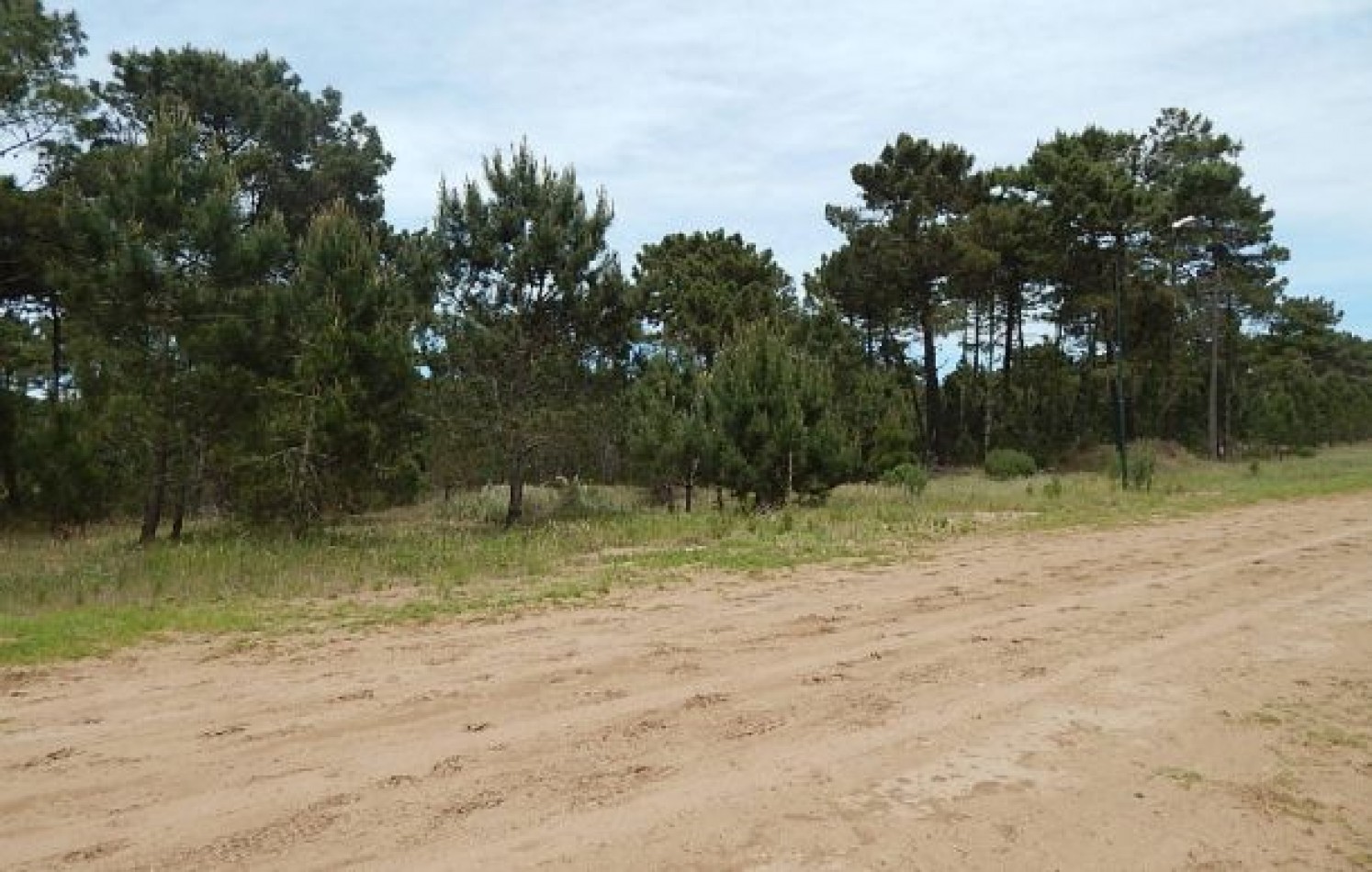 EXCELENTE LOTE EN LOTE EN VENTA