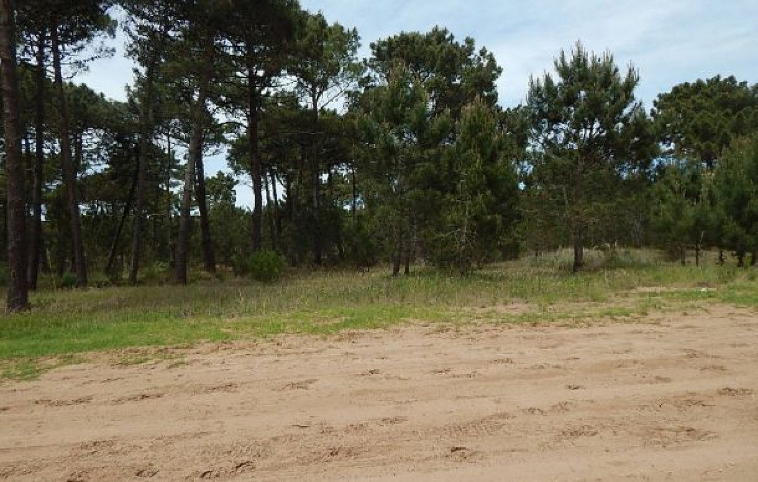 EXCELENTE LOTE EN LOTE EN VENTA