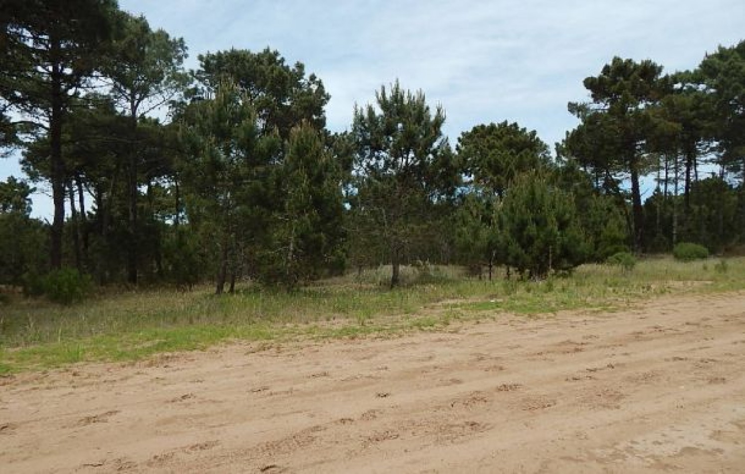 EXCELENTE LOTE EN LOTE EN VENTA