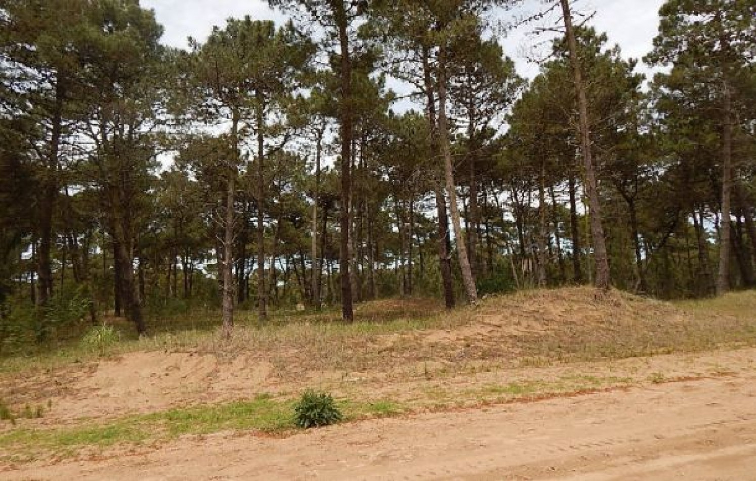 EXCELENTE LOTE EN ALAMOS II (LOTE 10 - MANZANA 239) SOBRE LA CALLE LA CALANDRIA