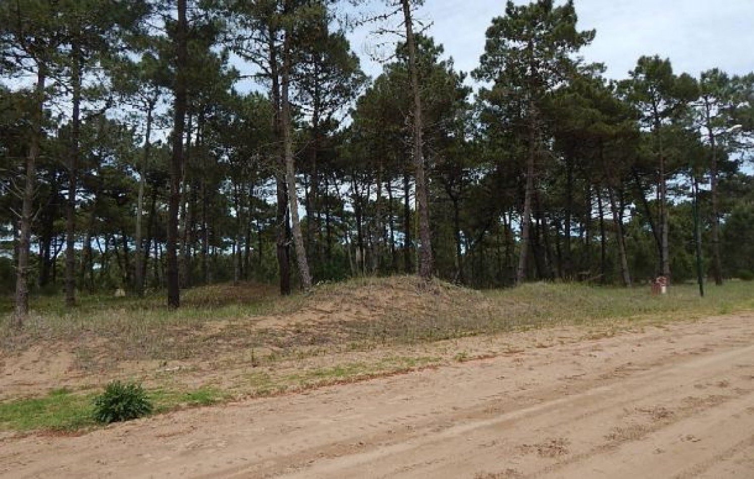 EXCELENTE LOTE EN ALAMOS II (LOTE 10 - MANZANA 239) SOBRE LA CALLE LA CALANDRIA