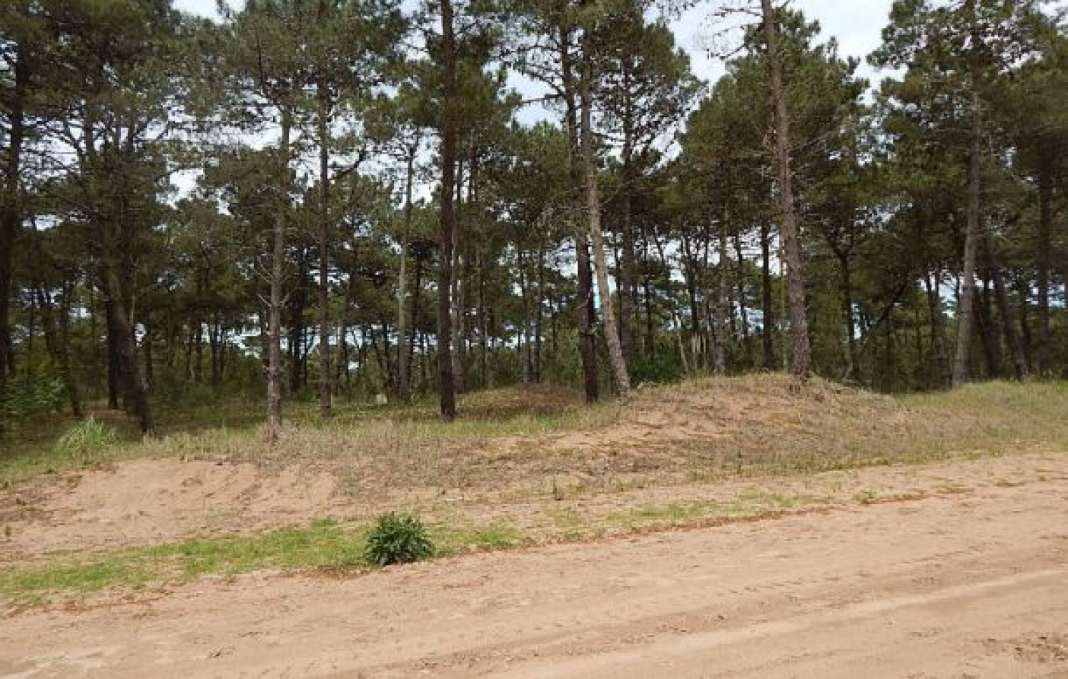 EXCELENTE LOTE EN ALAMOS II (LOTE 10 - MANZANA 239) SOBRE LA CALLE LA CALANDRIA