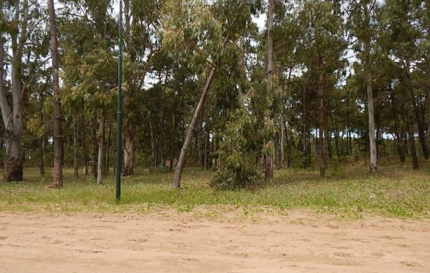 EXCELENTE LOTE EN ALAMOS II (LOTE 11 - MANZANA 239), 1.422,07 M2. - SOBRE CALLE DE LA CALANDRIA. LOTE EN VENTA