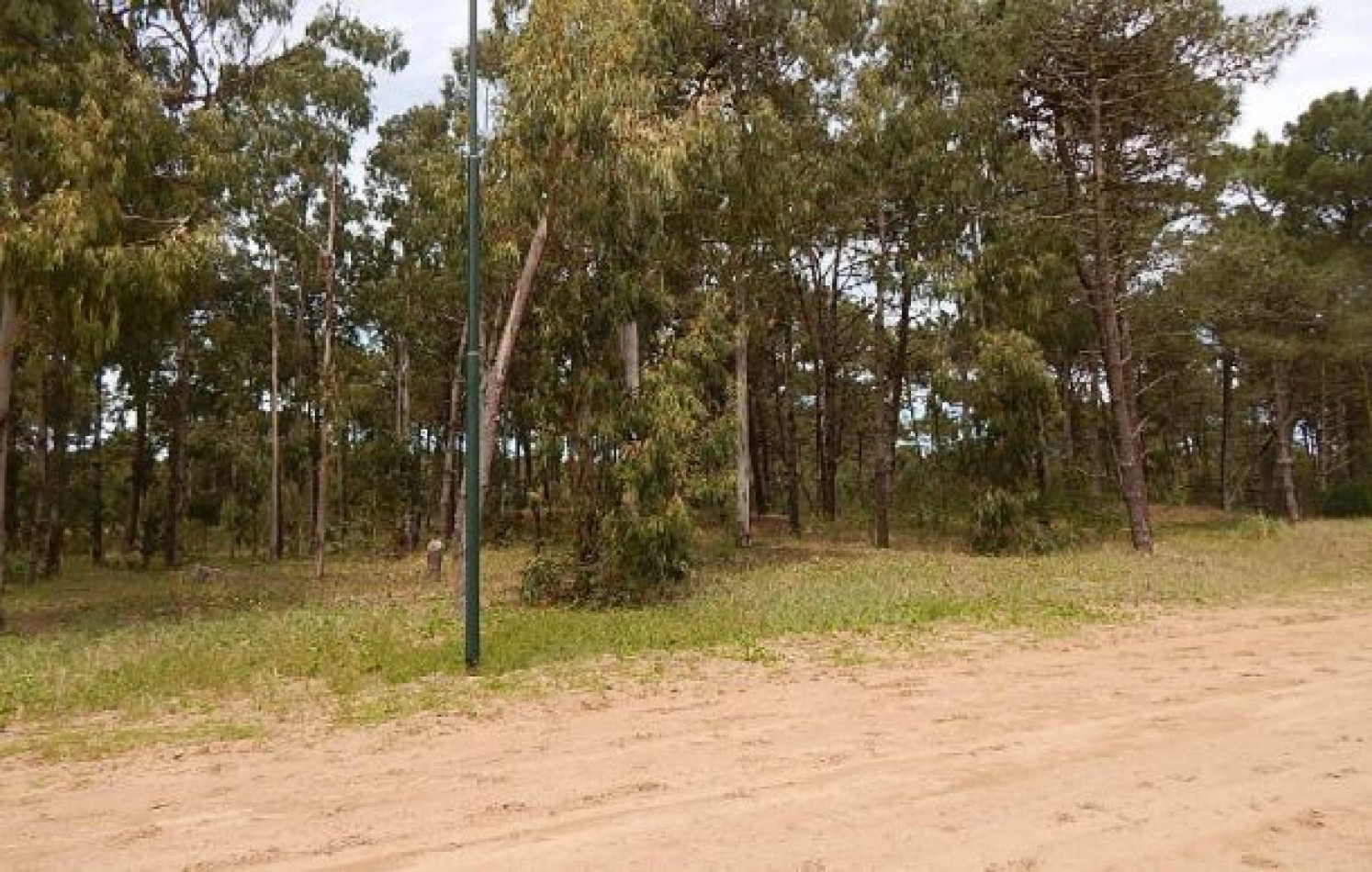 EXCELENTE LOTE EN ALAMOS II (LOTE 12 - MANZANA 239) 1.277,36 M2. , SOBRE CALLE DE LA CALANDRIA. LOTE EN VENTA.