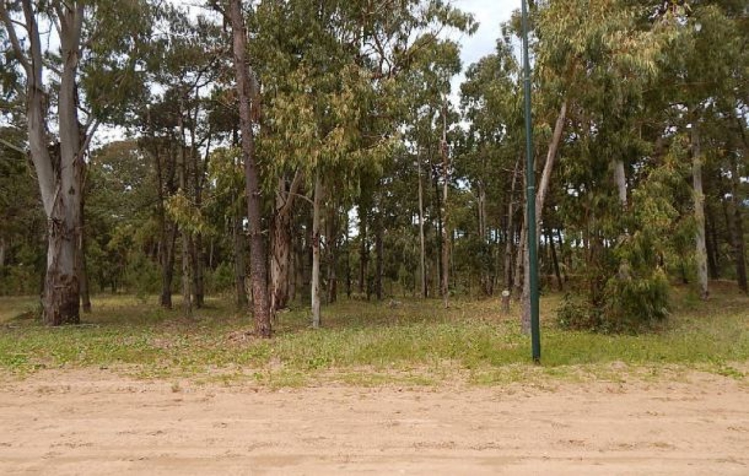 EXCELENTE LOTE EN ALAMOS II (LOTE 12 - MANZANA 239) 1.277,36 M2. , SOBRE CALLE DE LA CALANDRIA. LOTE EN VENTA.