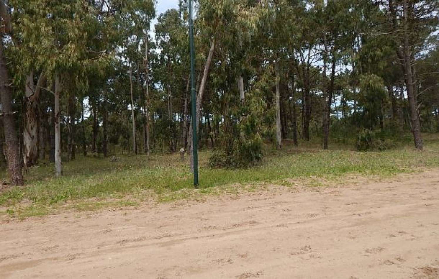 EXCELENTE LOTE EN ALAMOS II (LOTE 12 - MANZANA 239) 1.277,36 M2. , SOBRE CALLE DE LA CALANDRIA. LOTE EN VENTA.