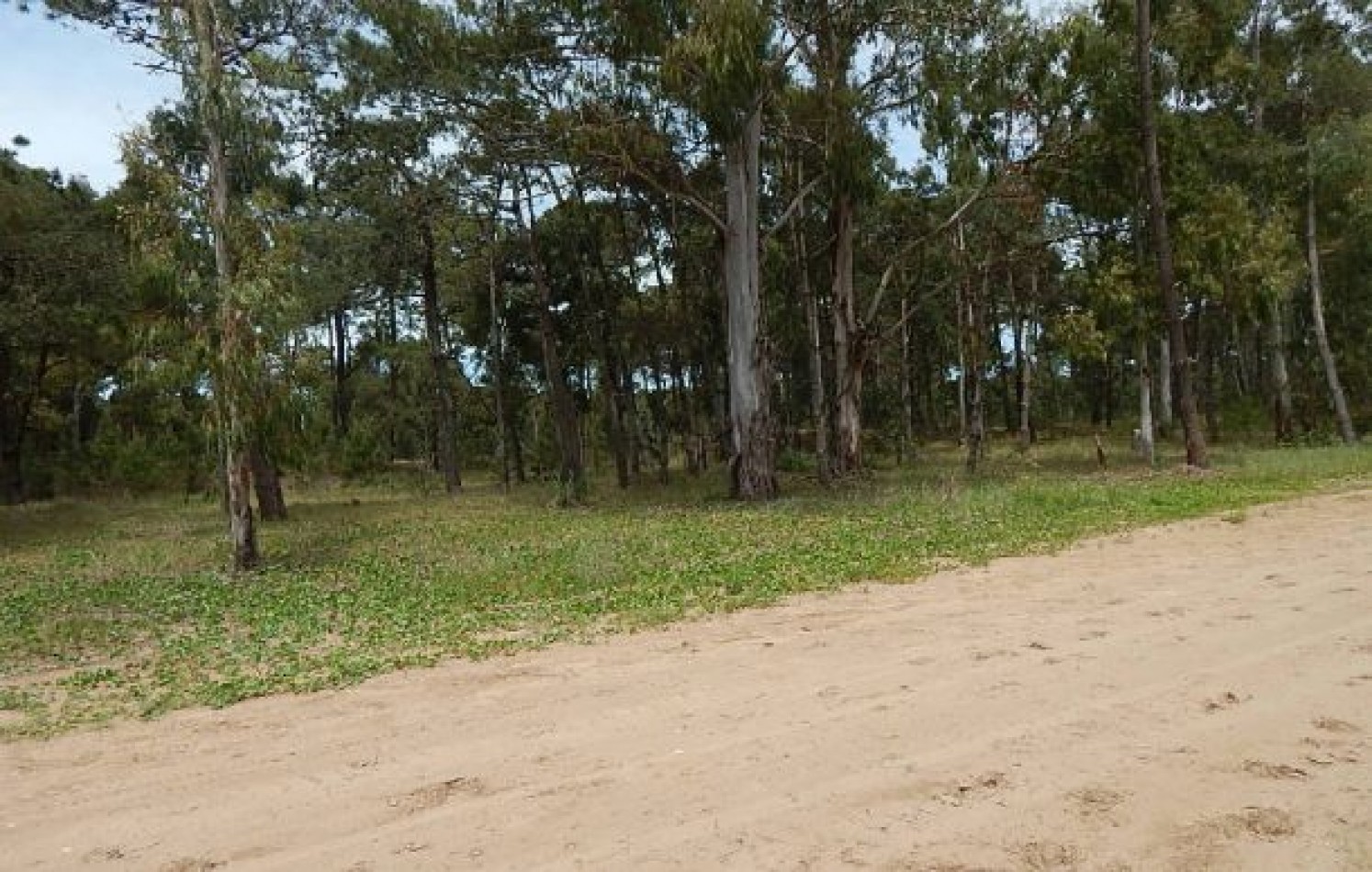 EXCELENTE LOTE EN ALAMOS II, (LOTE 13 - MANZANA 239) , 930,24 M2, SOBRE CALLE DE LA CALANDRIA,24 M2. . LOTE EN VENTA.