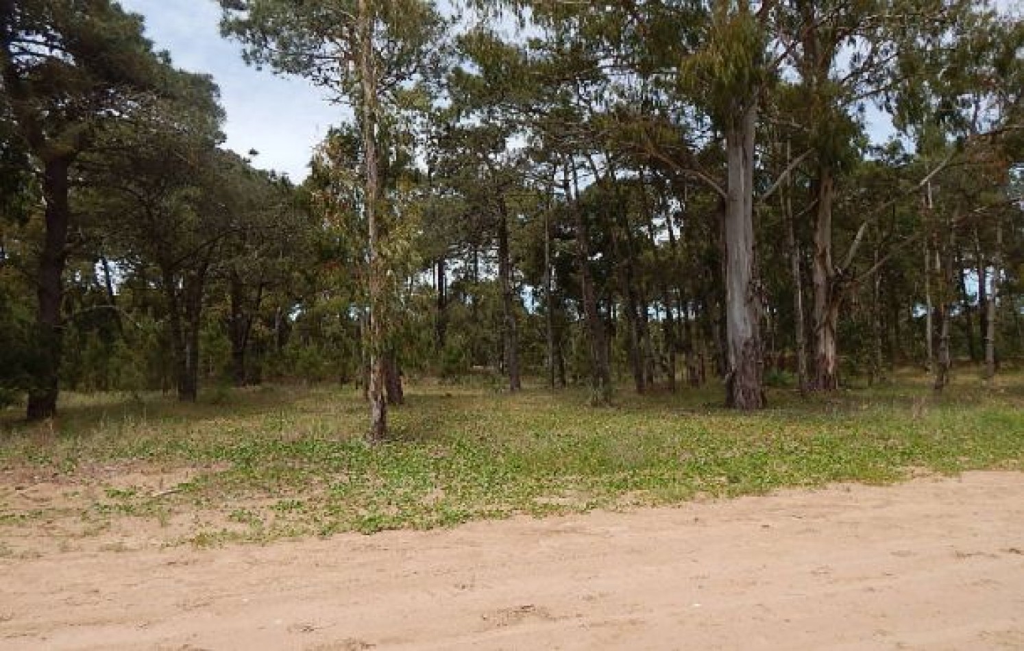 EXCELENTE LOTE EN ALAMOS II, (LOTE 13 - MANZANA 239) , 930,24 M2, SOBRE CALLE DE LA CALANDRIA,24 M2. . LOTE EN VENTA.