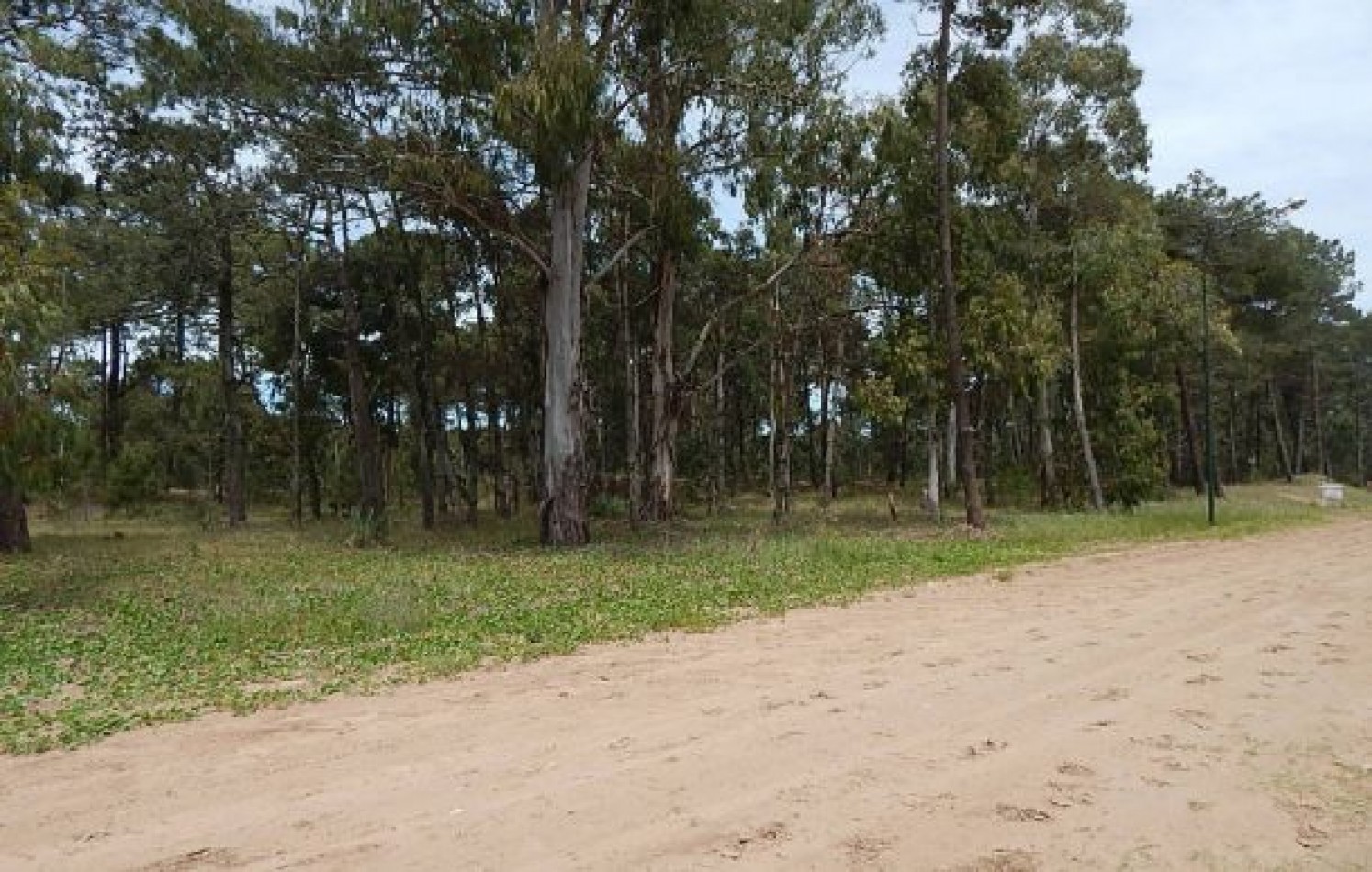 EXCELENTE LOTE EN ALAMOS II, (LOTE 13 - MANZANA 239) , 930,24 M2, SOBRE CALLE DE LA CALANDRIA,24 M2. . LOTE EN VENTA.