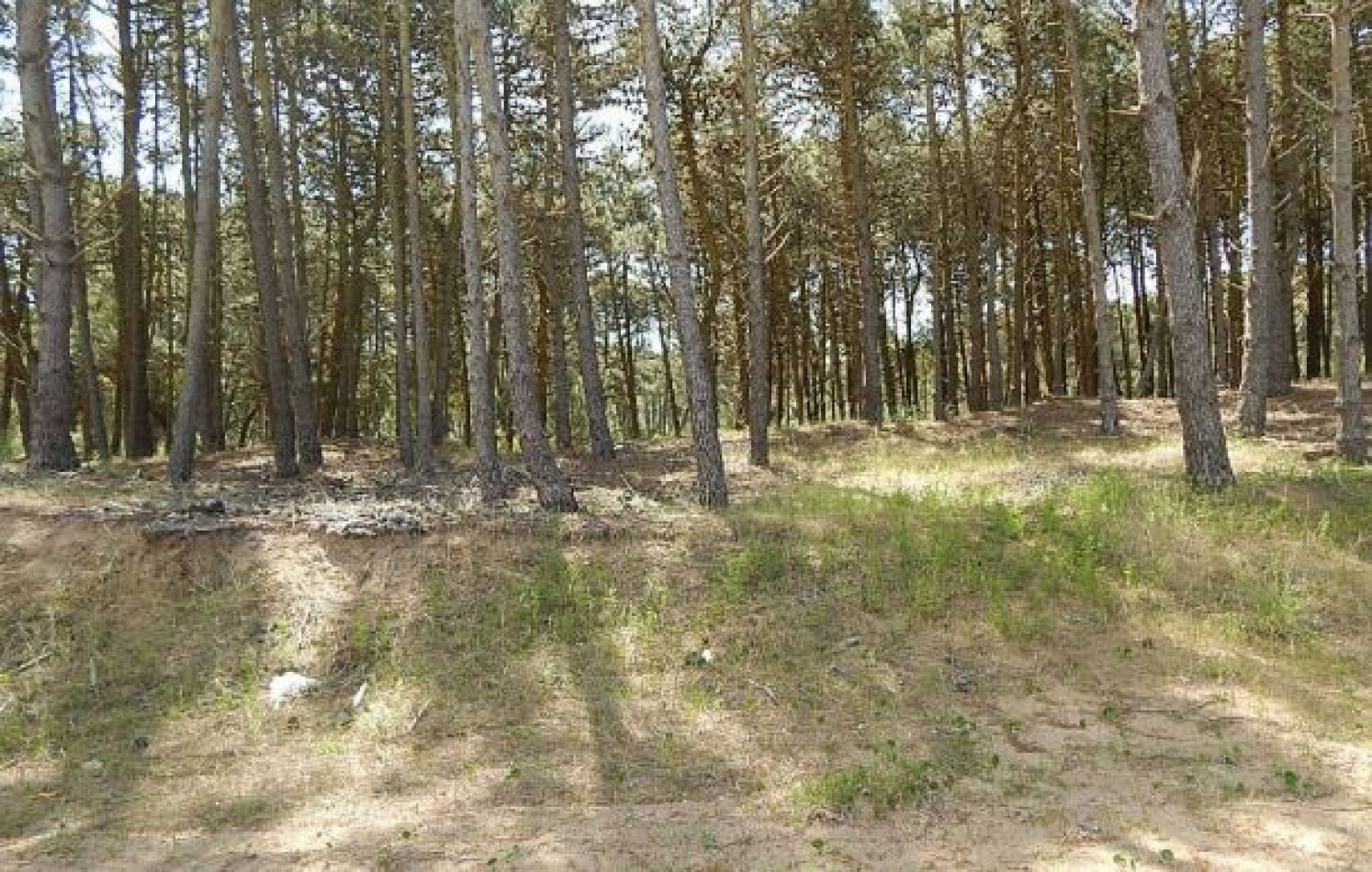 MAGNIFICO LOTE EN ALAMOS II, (LOTE 18 - MANZANA 239), 1.396,62 M2., DEL ANCLA ENTRE DE LA CALANDRIA Y DEL ESPARTILLO. LOTE EN VENTA.