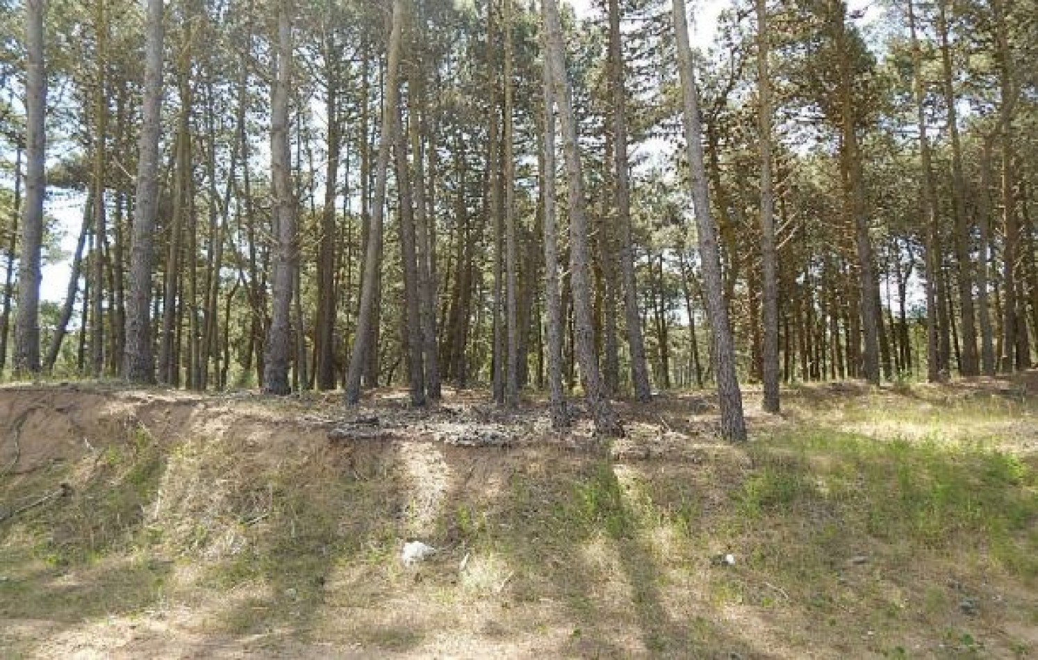 MAGNIFICO LOTE EN ALAMOS II, (LOTE 18 - MANZANA 239), 1.396,62 M2., DEL ANCLA ENTRE DE LA CALANDRIA Y DEL ESPARTILLO. LOTE EN VENTA.