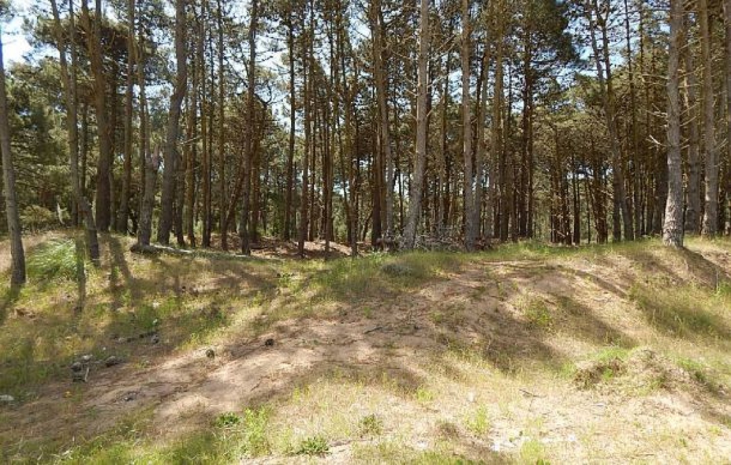 MAGNIFICO LOTE EN ALAMOS II, (LOTE 19 - MANZANA 239), 1.120,28 M2., CALLE DEL ANCLA ENTRE DE LA CALANDRIA Y DEL ESPARTILLO . LOTE EN VENTA.