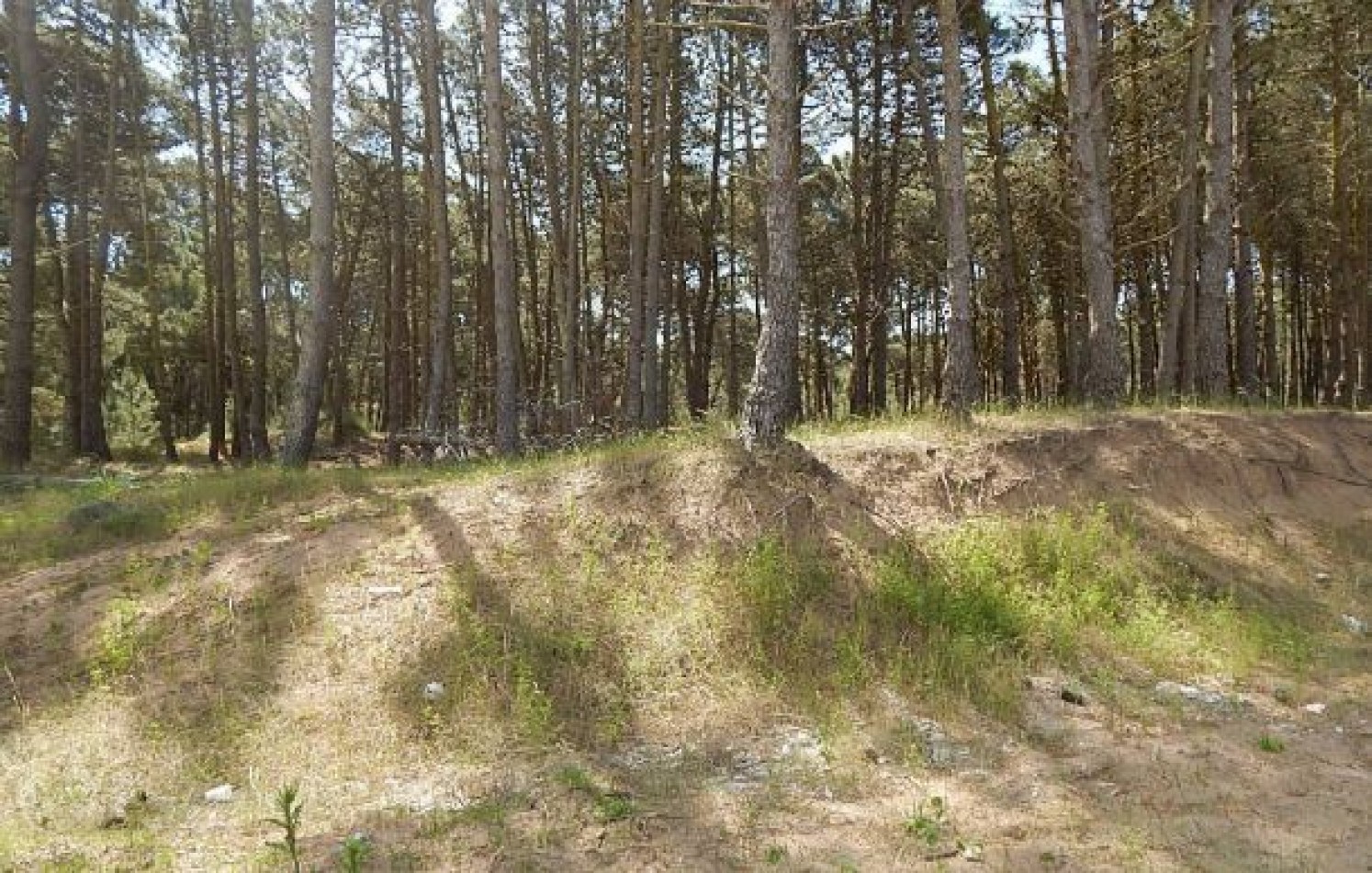 MAGNIFICO LOTE EN ALAMOS II, (LOTE 19 - MANZANA 239), 1.120,28 M2., CALLE DEL ANCLA ENTRE DE LA CALANDRIA Y DEL ESPARTILLO . LOTE EN VENTA.