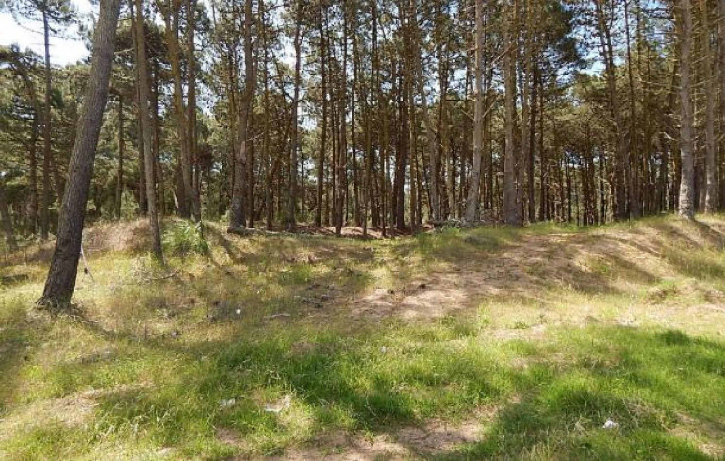 MAGNIFICO LOTE EN ALAMOS II, (LOTE 19 - MANZANA 239), 1.120,28 M2., CALLE DEL ANCLA ENTRE DE LA CALANDRIA Y DEL ESPARTILLO . LOTE EN VENTA.