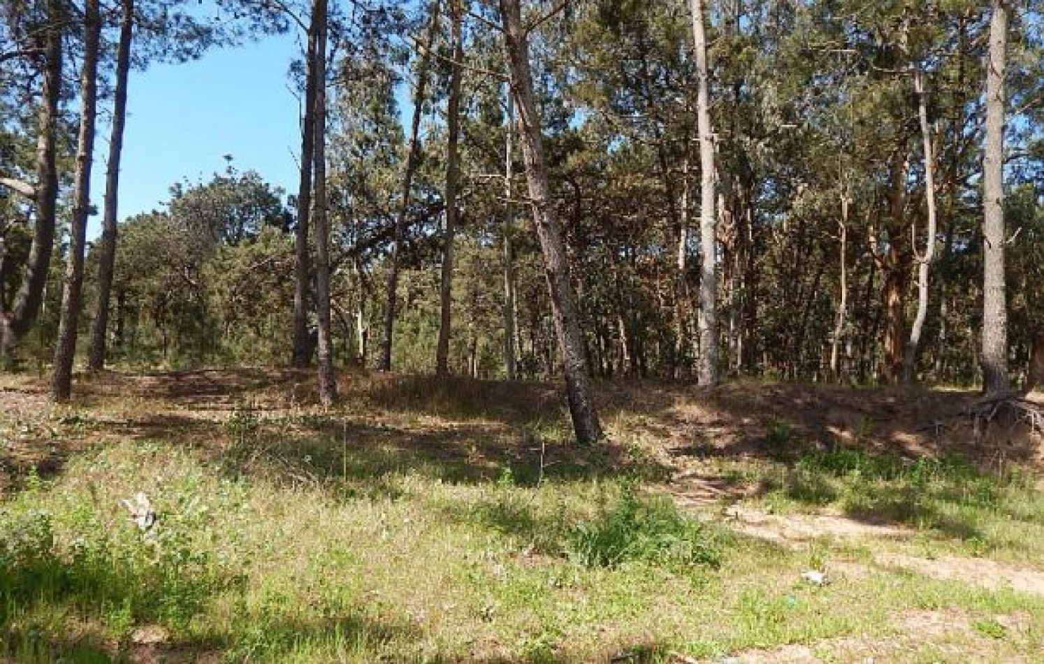 EXCELENTE LOTE EN ALAMOS II, (LOTE 29 - MANZANA 239), 1.292,31 M2., CUL DE SAC DE ESTRIBOR. LOTE EN VENTA.