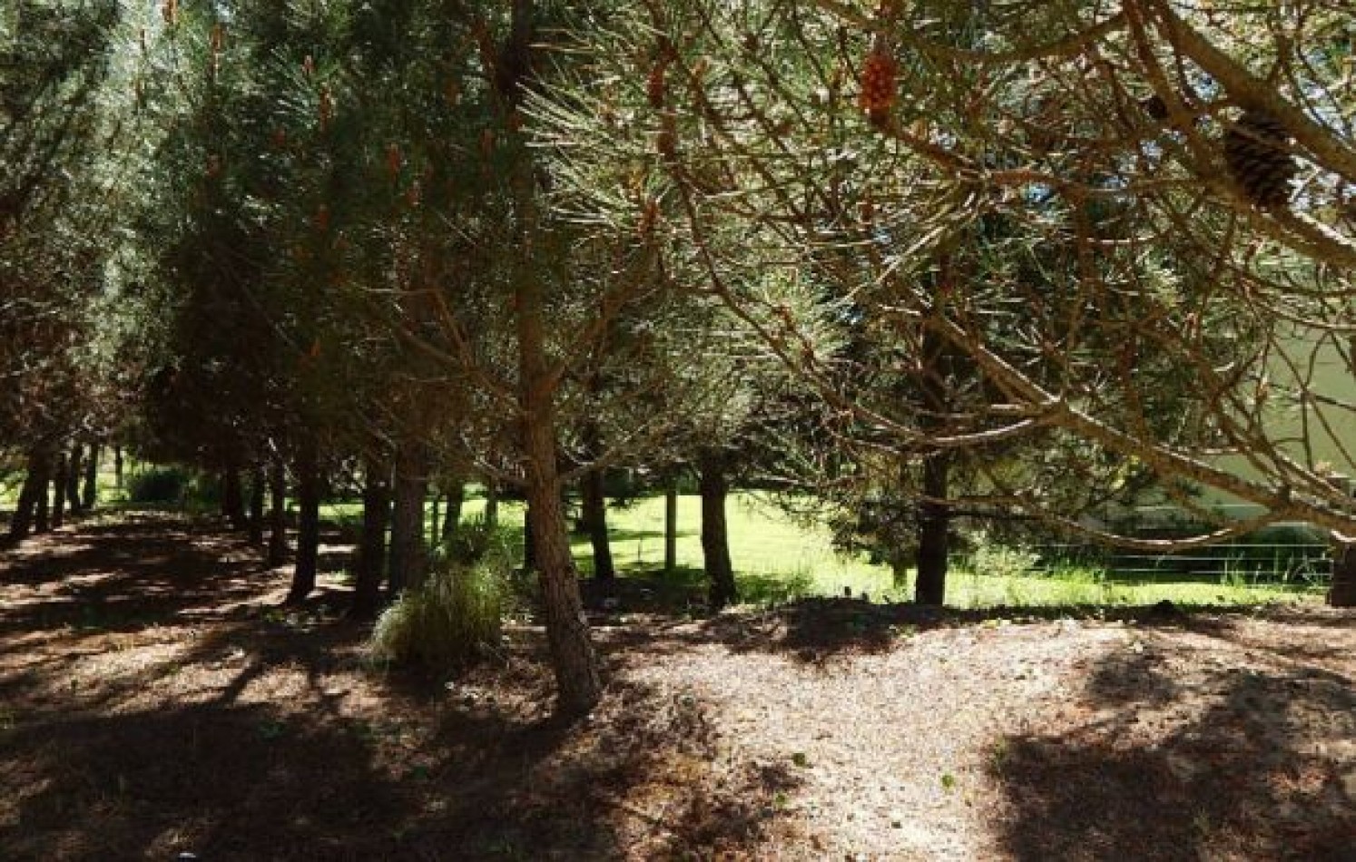 EXCEPCIONAL LOTE EN LA HERRADURA SOBRE LA CANCHA DE POLO. LOTE EN VENTA.