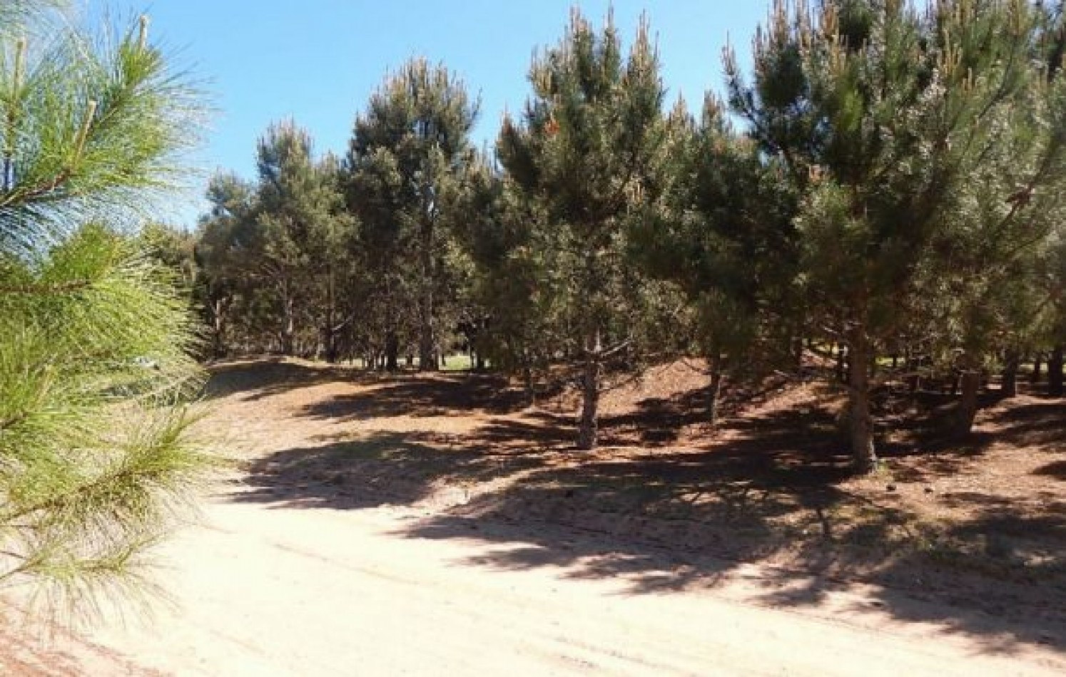EXCEPCIONAL LOTE EN LA HERRADURA SOBRE LA CANCHA DE POLO. LOTE EN VENTA.