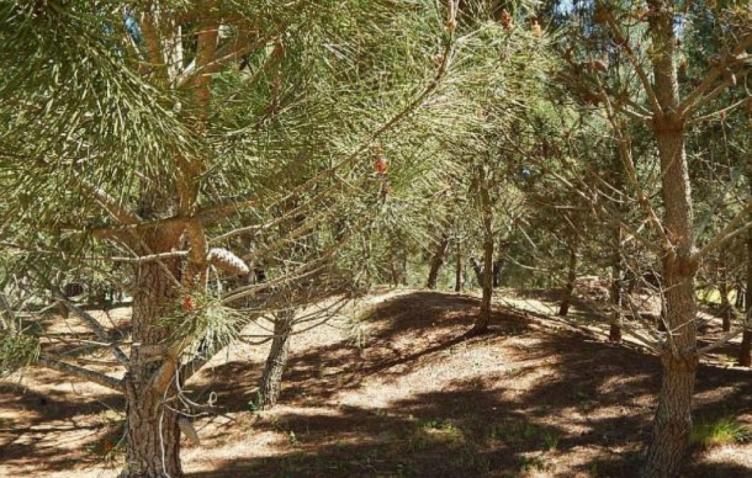 EXCEPCIONAL LOTE EN LA HERRADURA SOBRE LA CANCHA DE POLO. LOTE EN VENTA.