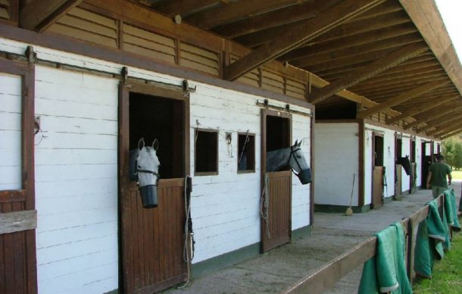 EXCEPCIONAL LOTE EN LA HERRADURA SOBRE CANCHA DE POLO LOTE EN VENTA 1310 M2.. LOTE EN VENTA.