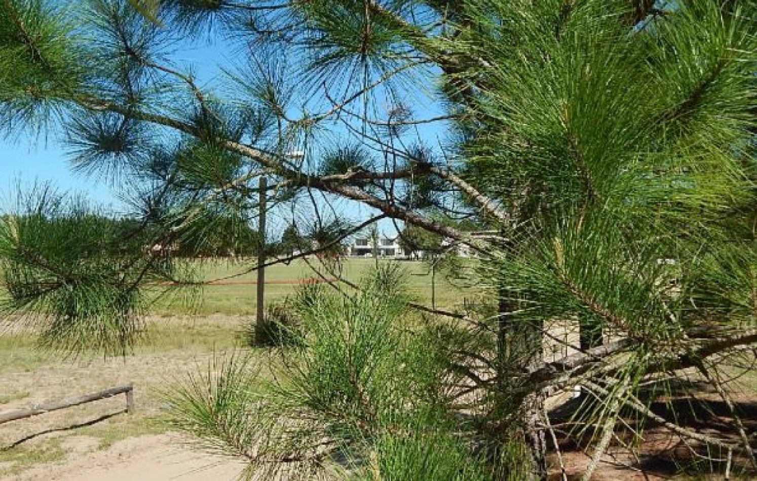 EXCEPCIONAL LOTE EN LA HERRADURA SOBRE CANCHA DE POLO LOTE EN VENTA 1310 M2.. LOTE EN VENTA.