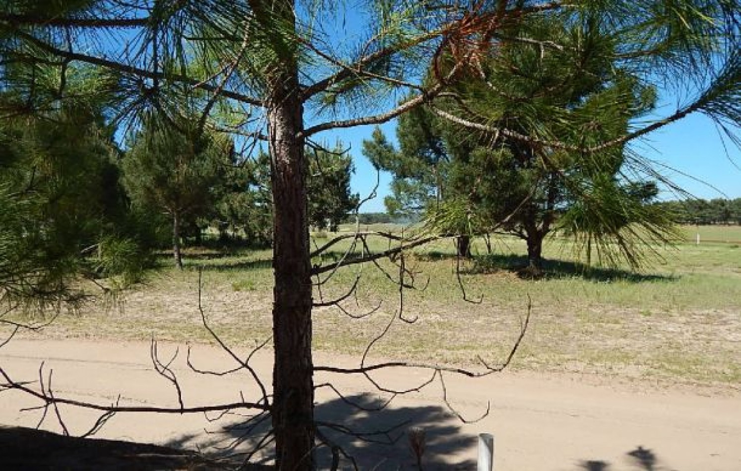 EXCEPCIONAL LOTE EN LA HERRADURA SOBRE CANCHA DE POLO. LOTE EN VENTA