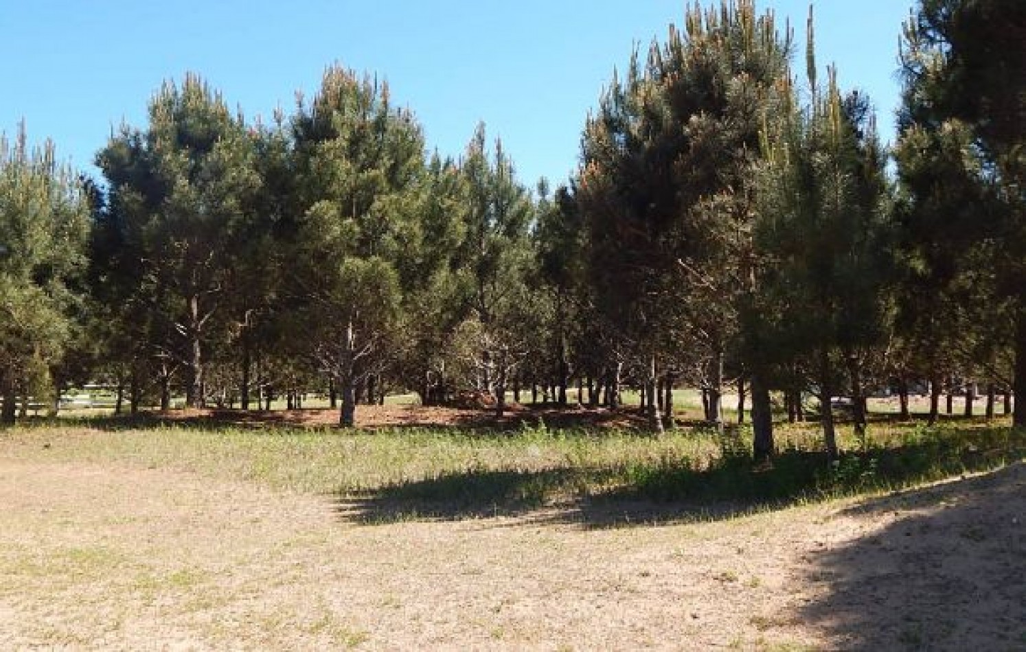 EXCEPCIONAL LOTE EN LA HERRADURA SOBRE CANCHA DE POLO. LOTE EN VENTA