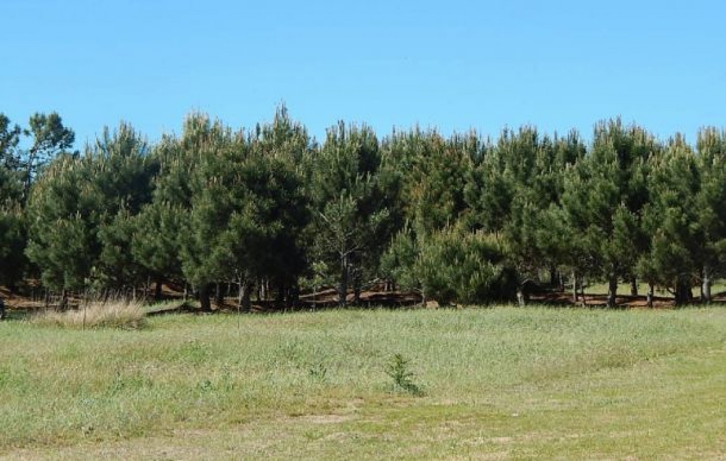 EXCEPCIONAL LOTE EN LA HERRADURA SOBRE CANCHA DE POLO. LOTE EN VENTA