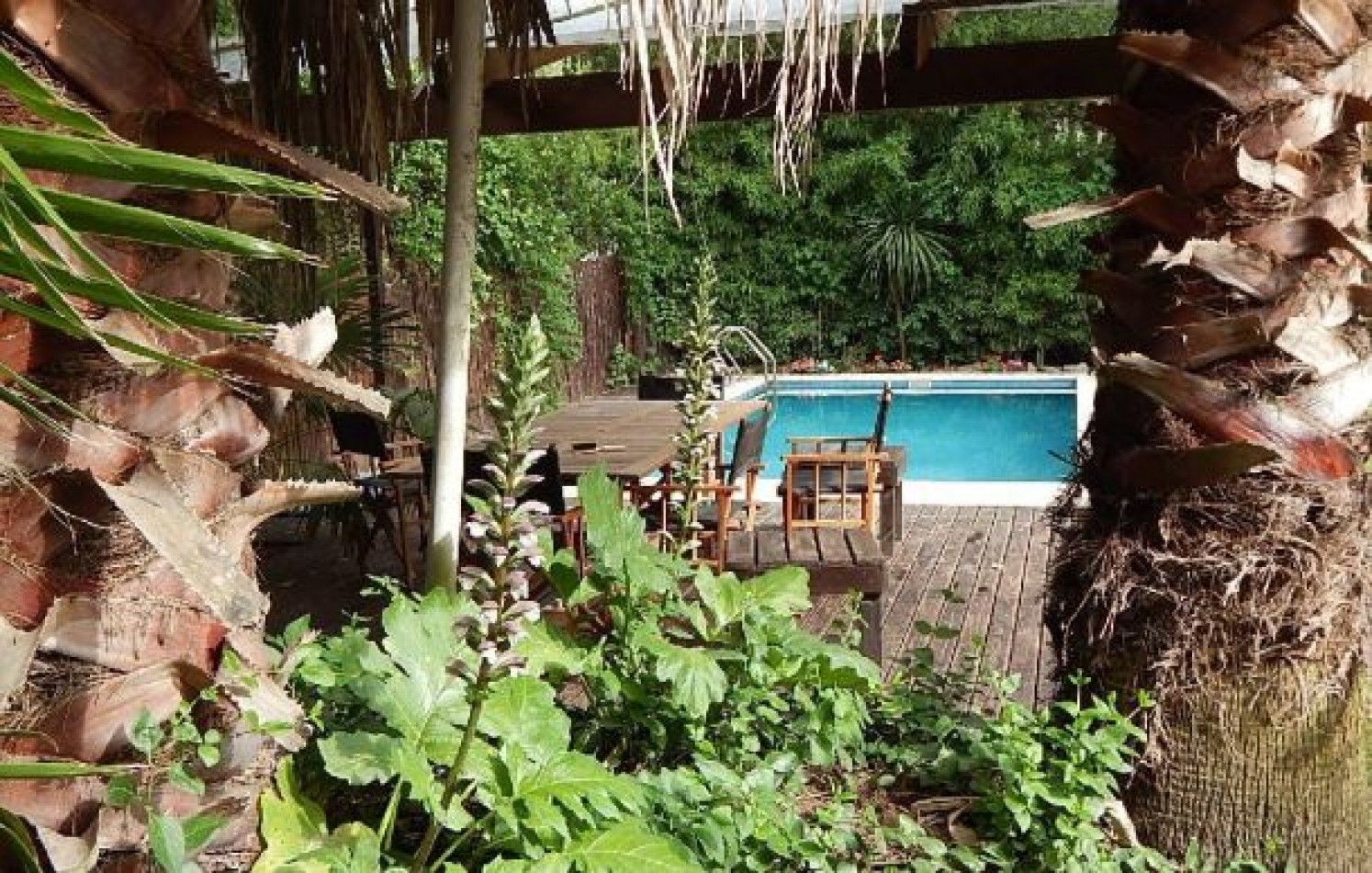 ESTUPENDO CHALET ESTILO CLASICO PINAMARENSE. CHALET EN ALQ X TEMP