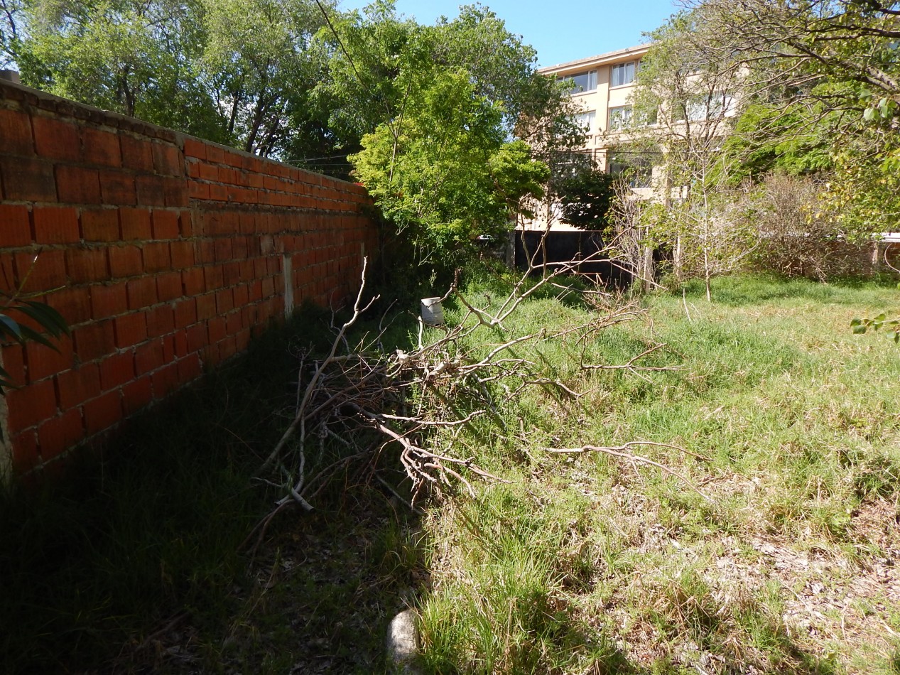 Propiedad comercial Rivadavia entre Av. Enrique Shaw y Eneas