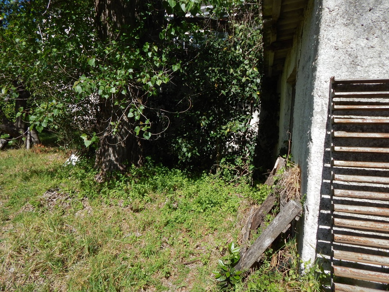Propiedad comercial Rivadavia entre Av. Enrique Shaw y Eneas