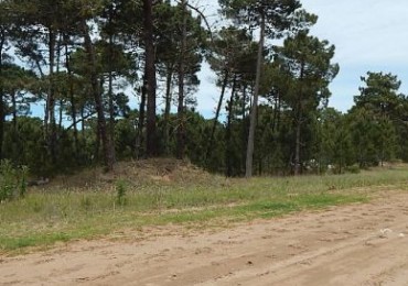 EXCELENTE LOTE EN ALAMOS II (LOTE 5 - MANZANA 239) SOBRE CALLE DE LA CALANDRIA