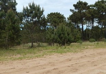 EXCELENTE LOTE EN LOTE EN VENTA