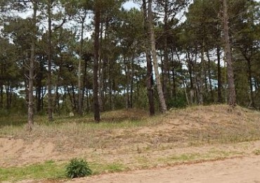 EXCELENTE LOTE EN ALAMOS II (LOTE 10 - MANZANA 239) SOBRE LA CALLE LA CALANDRIA