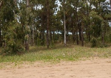 EXCELENTE LOTE EN ALAMOS II (LOTE 11 - MANZANA 239), 1.422,07 M2. - SOBRE CALLE DE LA CALANDRIA. LOTE EN VENTA