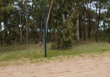 EXCELENTE LOTE EN ALAMOS II (LOTE 12 - MANZANA 239) 1.277,36 M2. , SOBRE CALLE DE LA CALANDRIA. LOTE EN VENTA.