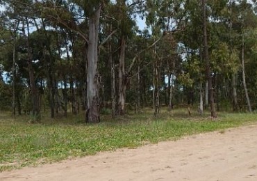 EXCELENTE LOTE EN ALAMOS II, (LOTE 13 - MANZANA 239) , 930,24 M2, SOBRE CALLE DE LA CALANDRIA,24 M2. . LOTE EN VENTA.