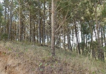 MAGNIFICO LOTE EN ALAMOS II, (LOTE 14 - MANZANA 239), 1.194,54 M2., CON SALIDA POR CALLES DEL ANCLA Y DE LA CALANDRIA . LOTE EN VENTA