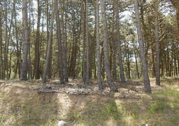 MAGNIFICO LOTE EN ALAMOS II, (LOTE 18 - MANZANA 239), 1.396,62 M2., DEL ANCLA ENTRE DE LA CALANDRIA Y DEL ESPARTILLO. LOTE EN VENTA.