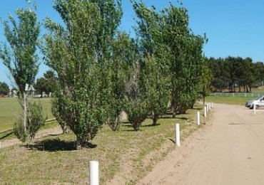 EXCEPCIONAL LOTE EN LA HERRADURA SOBRE LA CANCHA DE POLO. LOTE EN VENTA.